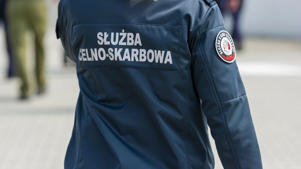 Międzynarodowy gang rozbity. Wyłudzali VAT w całej Europie