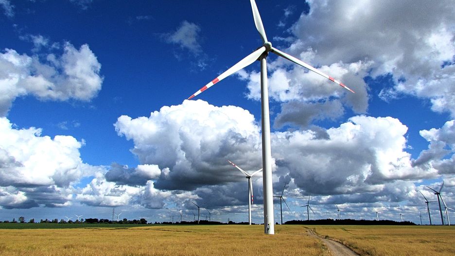 Elektrownia wiatrowa. Turbiny wiatrowe w Polsce