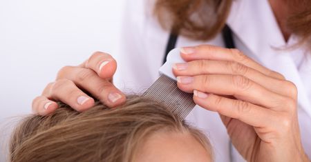 Mogą zaatakować każdego. Skąd biorą się wszy?