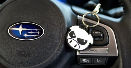Skąd wzięła się świnka Subaru? Odpowiedź nie jest taka oczywista