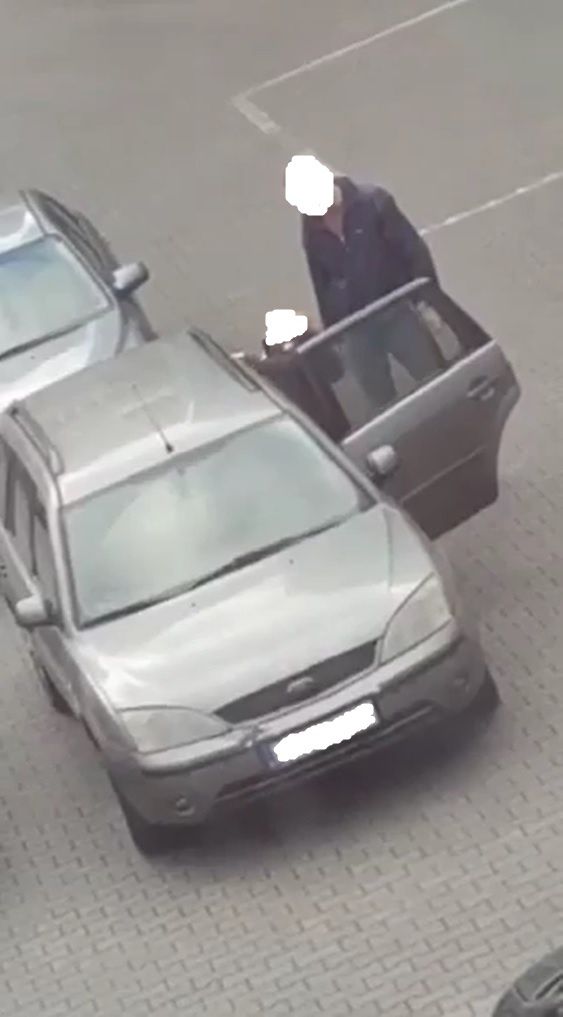 Kobieta "pomaga" nogą ułożyć się alpace na tylnej kanapie auta