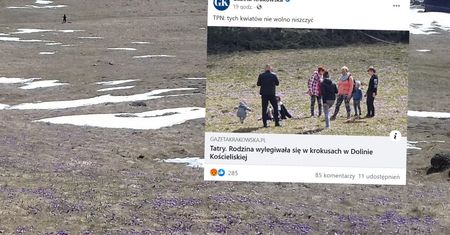Apele nie pomogły. Zdjęcie z Tatr. "Smutny widok"