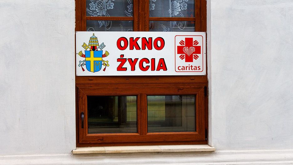Okno życia/ ilustracja