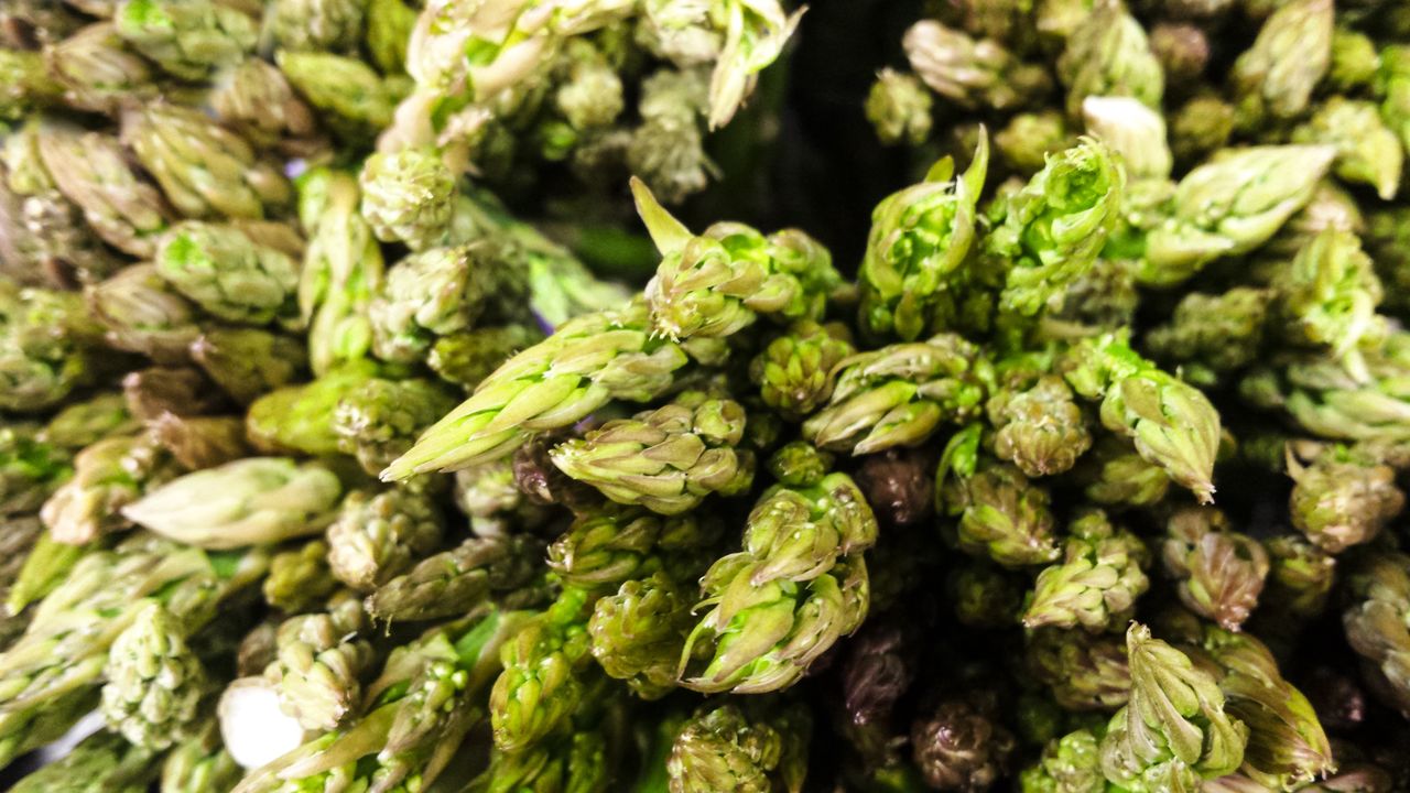 Asparagus: Healthy delicacy or unexpected health hazard?