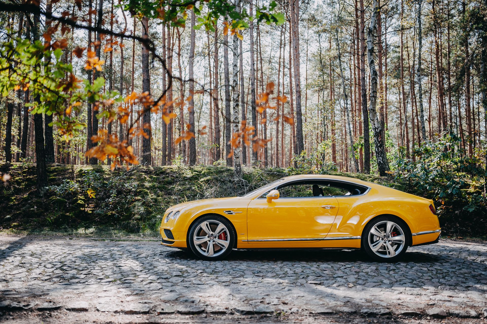 Bentley Continental GT V8 S (2017)