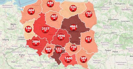 Koronawirus w Polsce. Mapa zakażeń pokazuje ponad 33 tys. chorych i kolejne ofiary śmiertelne