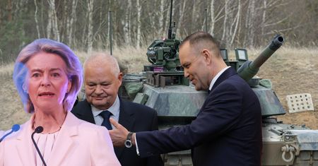 Który SAFE wybrać? Pokazał wyniki sondażu