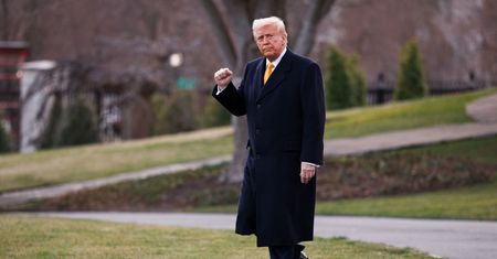Trump zaprowadza swoje porządki w Białym Domu. 200-letnie drzewo do wycięcia