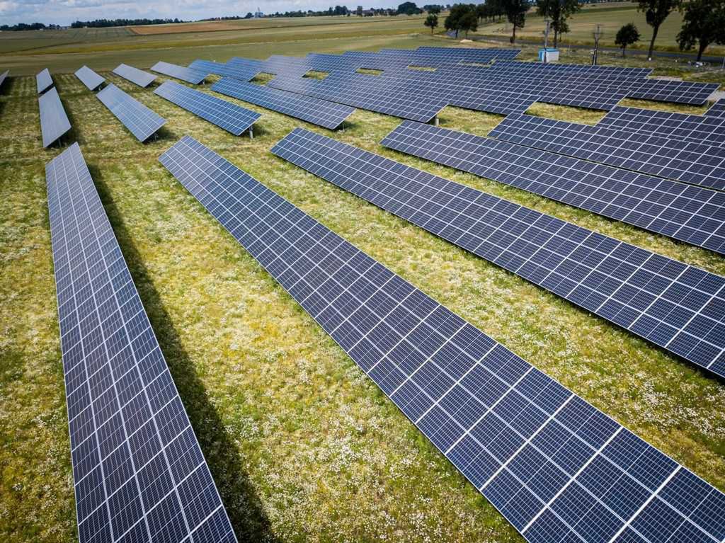 Wirtualna Polska kupiła farmę fotowoltaiczną za ponad 12 mln złotych. Wiemy, do czego będzie wykorzystywana 1