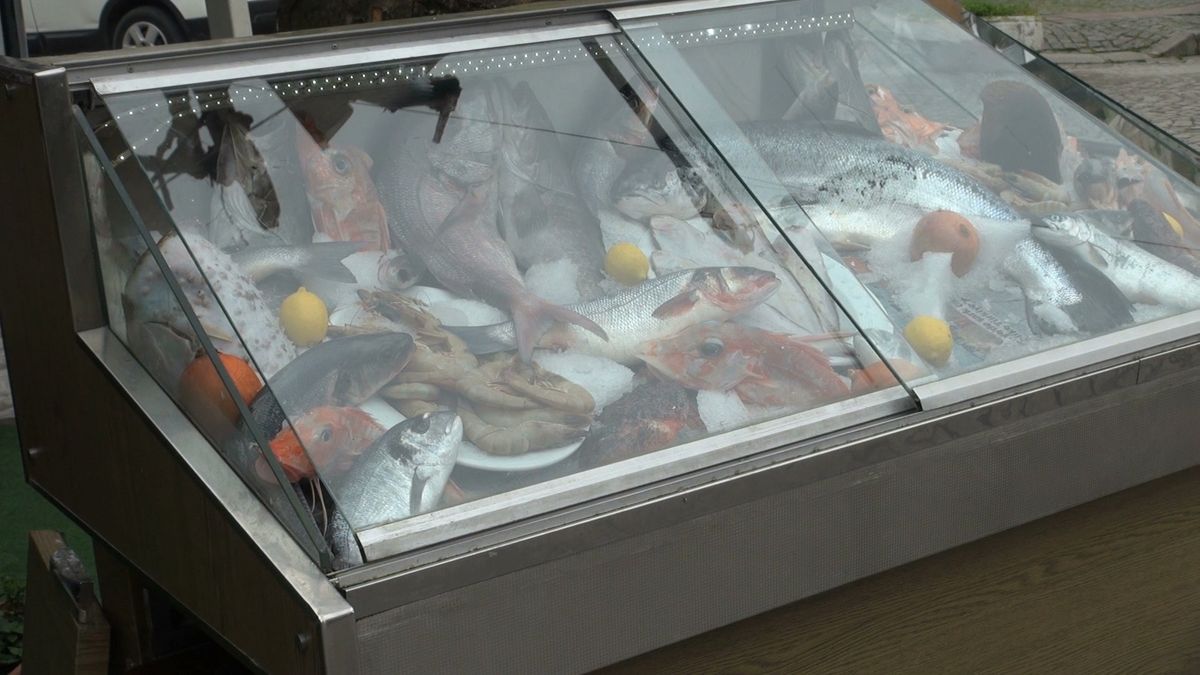 Niektóre gatunki ryb są niebezpieczne