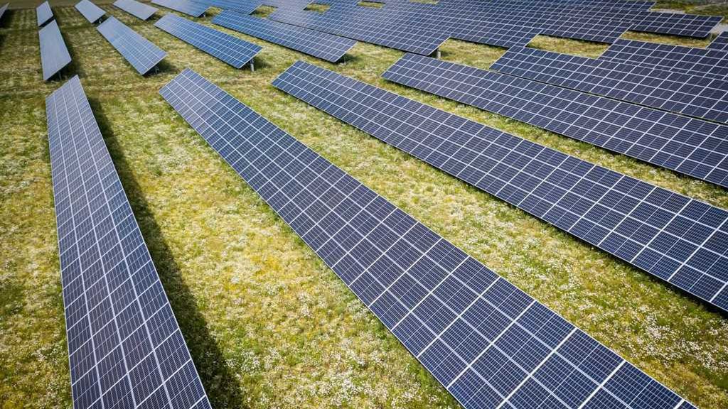 Wirtualna Polska kupiła farmę fotowoltaiczną za ponad 12 mln złotych. Wiemy, do czego będzie wykorzystywana 1
