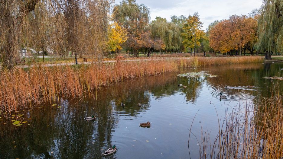 Lokalne mgły, które o poranku mogą znacząco utrudniać widoczność