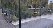 Pułtusk: Kto okradł jesienne dekoracje? Sprawcy poszukiwani