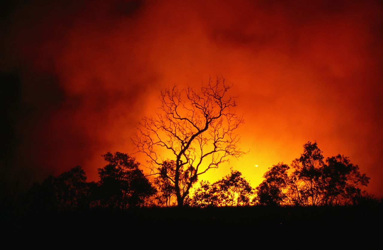 Coraz bliżej klimatycznej katastrofy. Polska może podzielić los Australii
