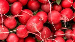 Oczyszcza organizm, wspiera wątrobę. Jak na organizm działa rzodkiewka?