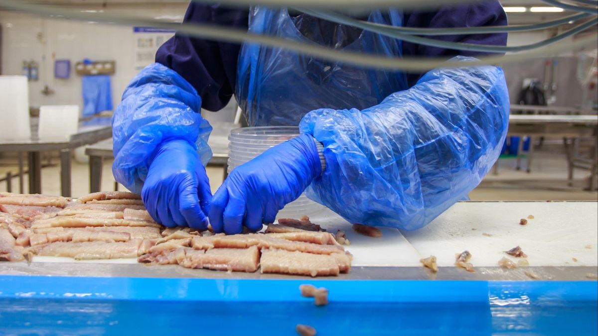 Znany producent ryb liczy na odszkodowanie. Grozi mu upadek