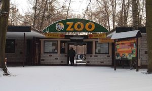 Incydenty w ZOO. Pracownicy mogli ucierpieć. Policja bada sprawę