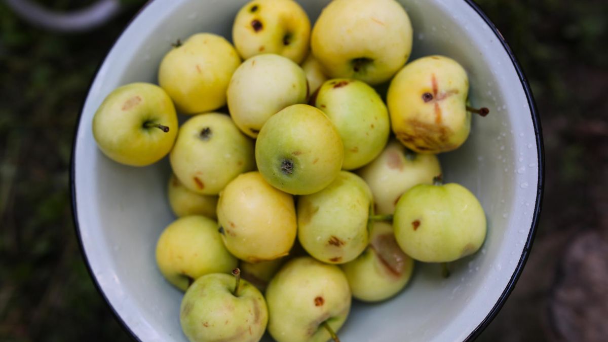 Nie jedz, gdy zauważysz na owocach i warzywach. To znak, że siedzi w nich rakotwórcza toksyna