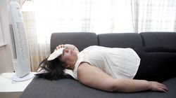 Ich najczęściej dopada udar cieplny. "Zaczynają się gotować od środka"