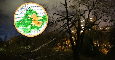 Pogoda dla Polski. Silne nawałnice i wichury. Powieje nawet 100 km/h