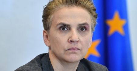 Posłanka Scheuring-Wielgus z zarzutem w związku z udziałem w akcji przeciw pedofilii