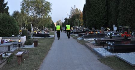 Fotoradary na „cmentarne hieny”? Straż miejska wykorzystuje fotopułapki