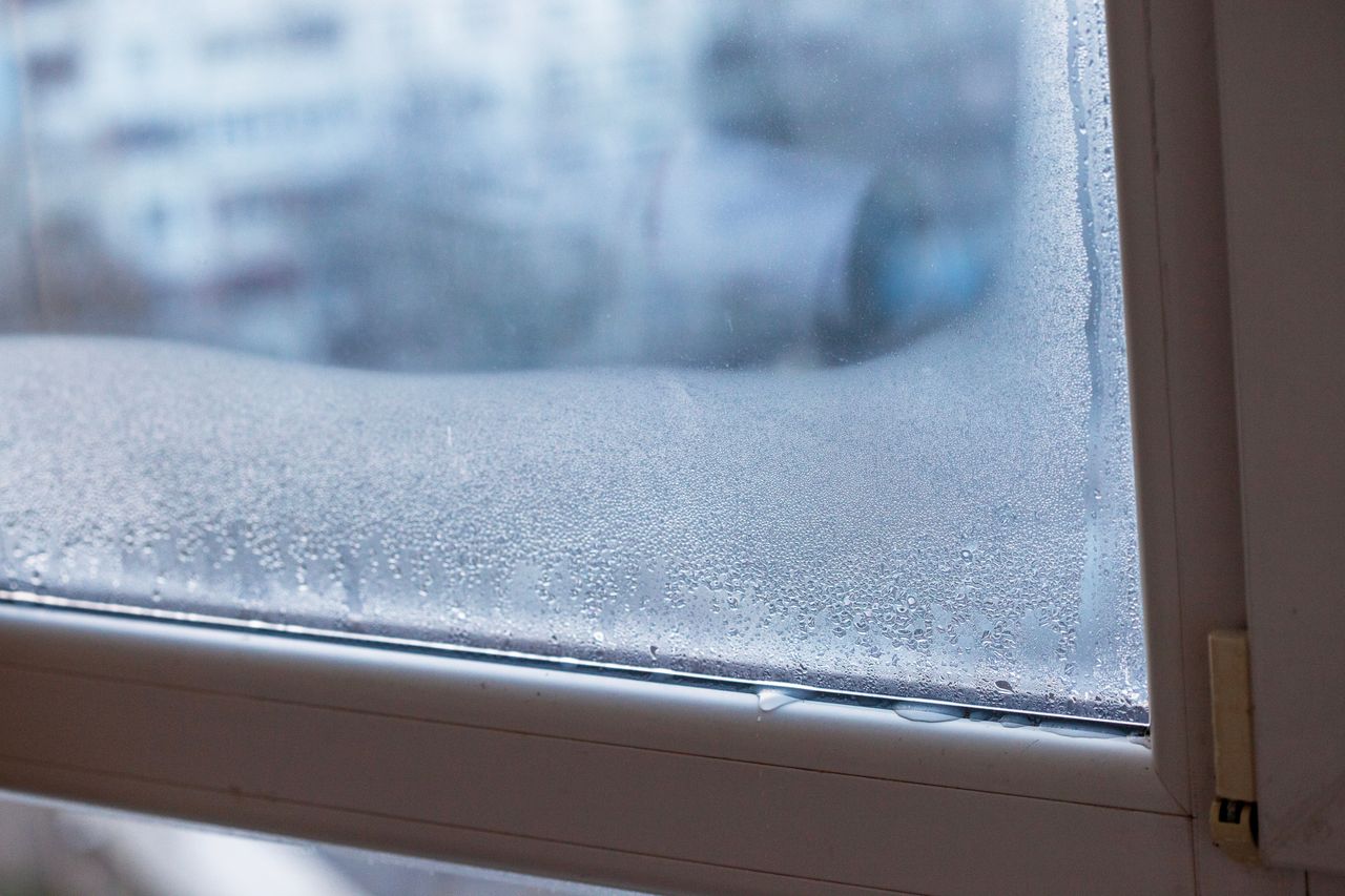 Niemiecki sposób na wilgoć w domu. Wypróbuj, a szybko sobie podziękujesz