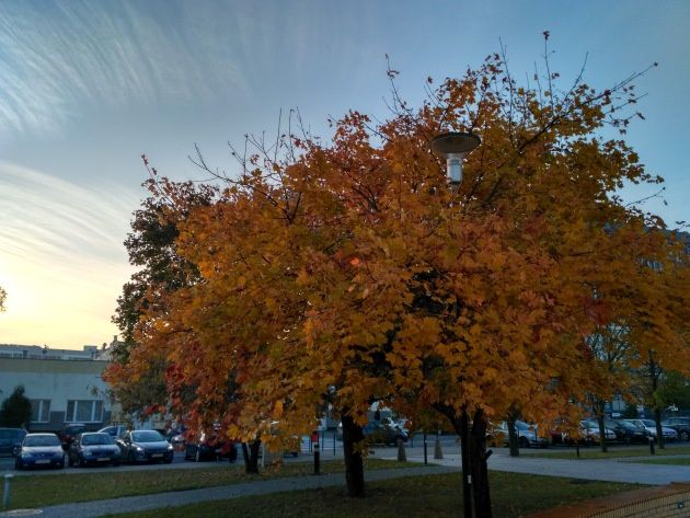 Xiaomi Redmi 3S zdjęcie 1 HDR