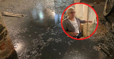 Niebywałe sceny w Warszawie. "Synowa, jak weszła, prawie zemdlała"