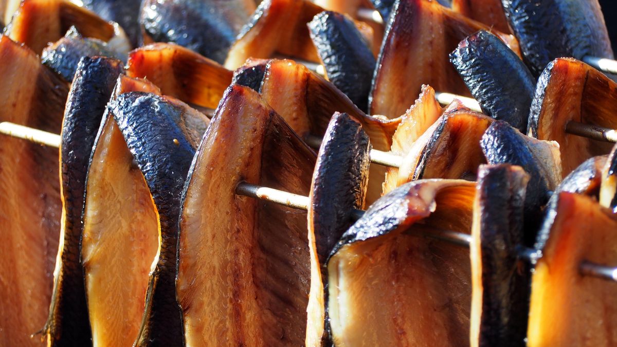Halibut kumuluje rtęć