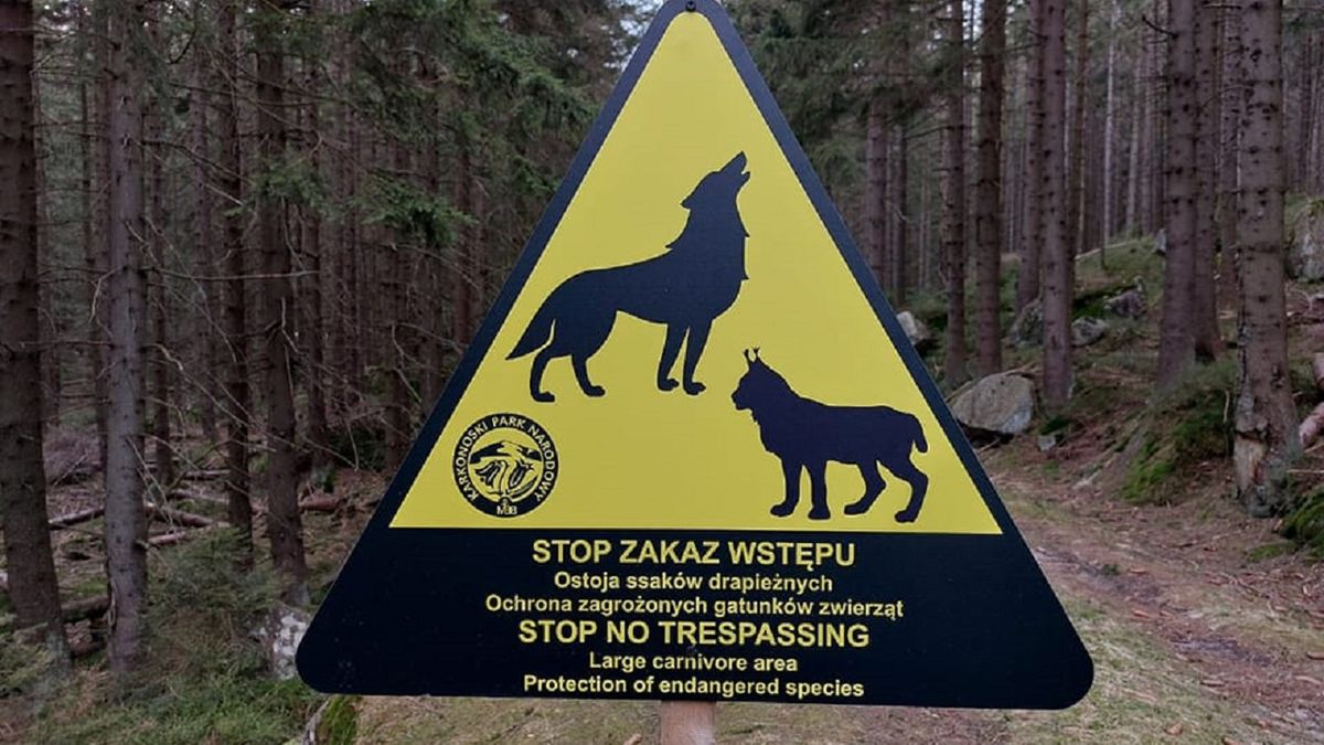 Ten znak w Karkonoskim Parku Narodowym ostrzega przed dziką zwierzyną, która może pojawić się w okolicy.