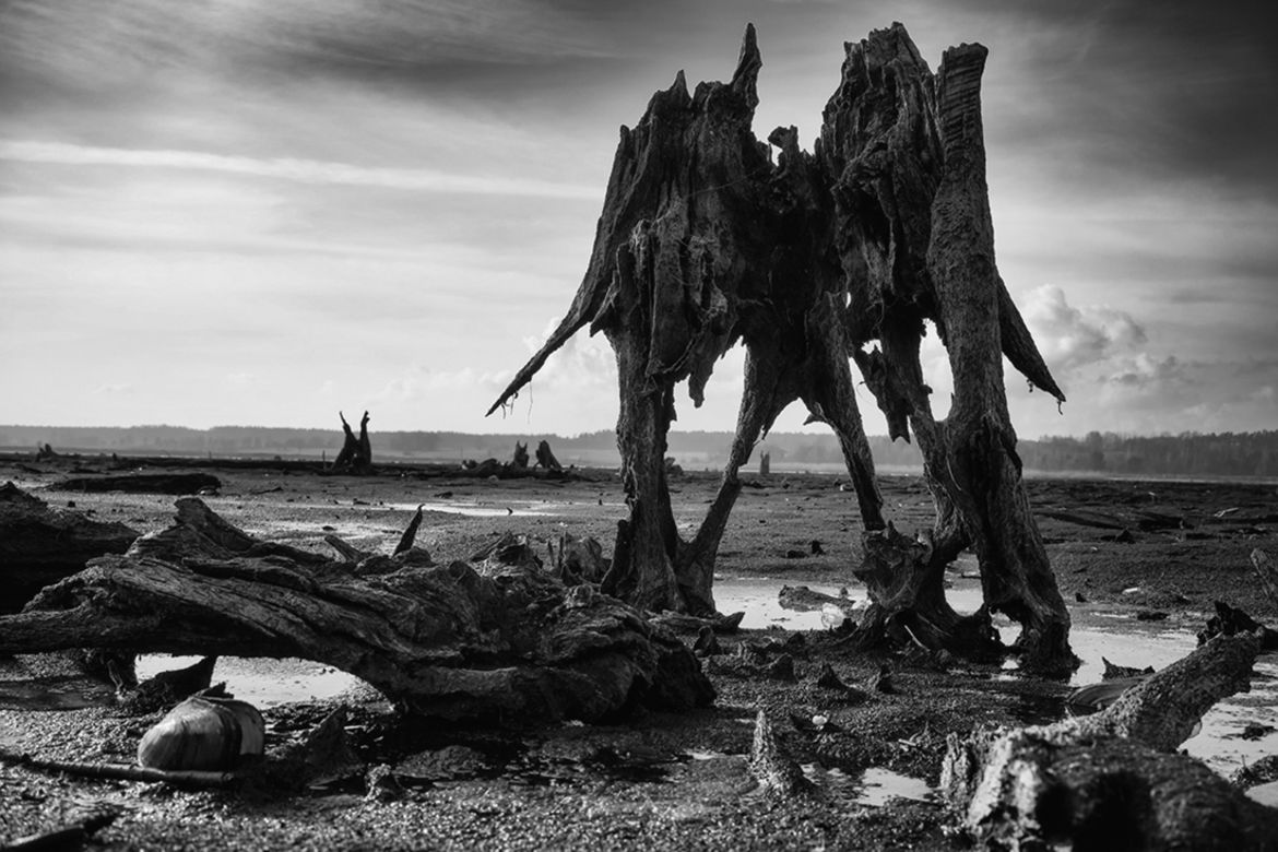 Polacy nagrodzeni w konkursie MonoVisions Photography Awards 2018 19