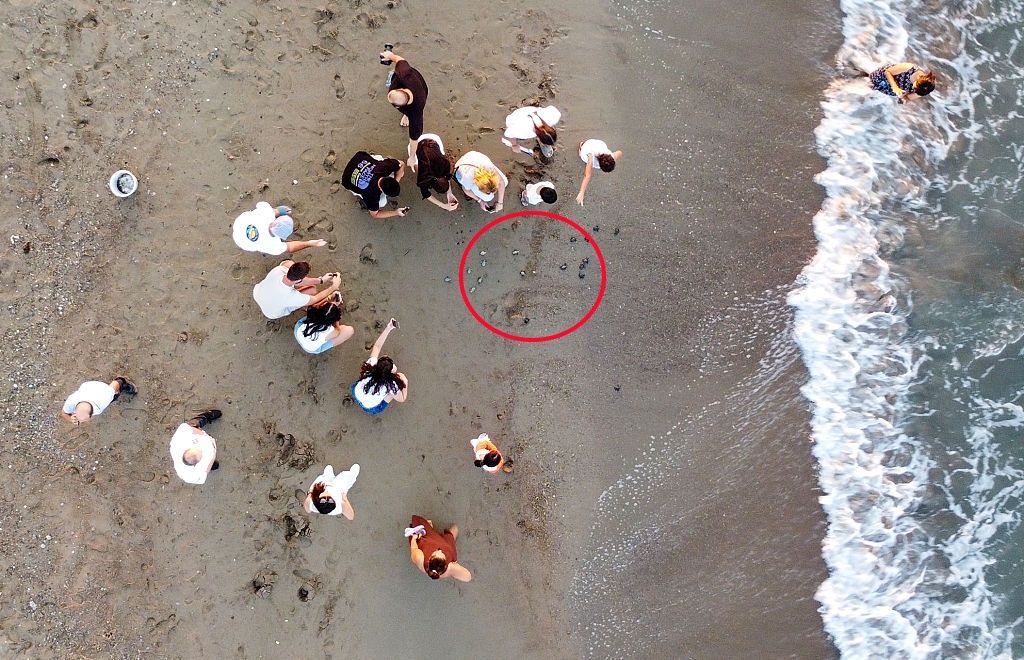 Nowe zakazy na plażach w Turcji. Za ich złamanie grożą gigantyczne mandaty