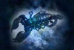 Horoskop dzienny na wtorek 24.08.2021. Gwiazdy czuwają nad znakami zodiaku