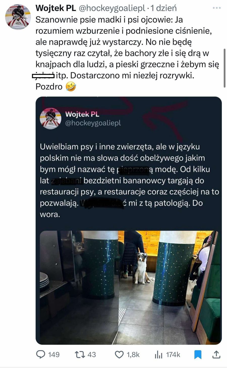 "Bezdzietni bananowcy". Psy w restauracjach wciąż triggerują Pol