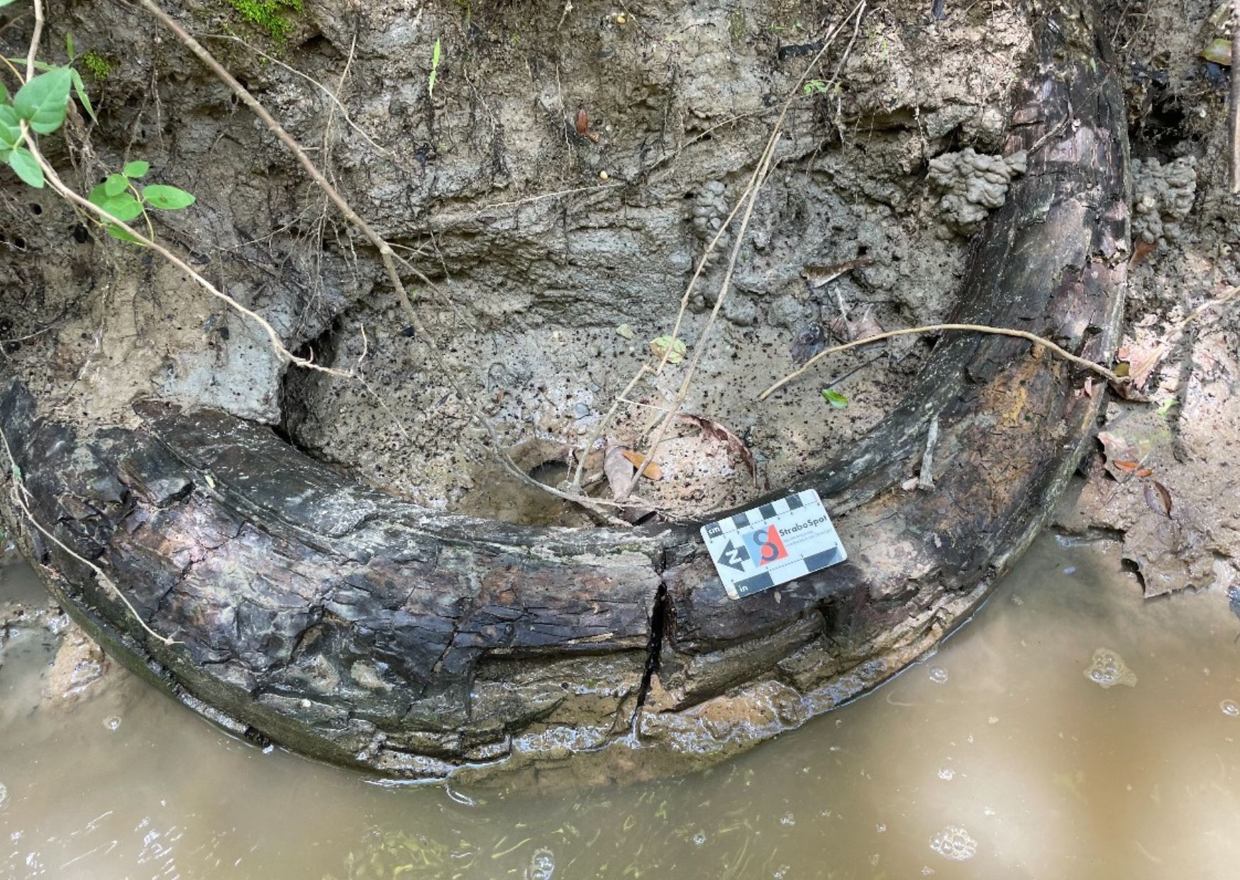 An unusual discovery in the stream. It is more than two meters high.