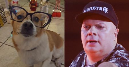 Krzysztof Skiba DOBITNIE o fajerwerkach w sylwestra: "Gdzie najlepiej odpalać petardy? We własnej DUPIE"