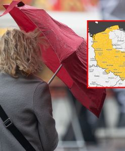 Do Polski nadchodzi silny wiatr. IMGW wydał alerty
