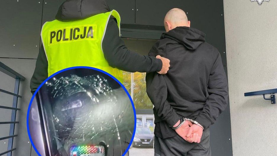 Fot. Licencjodawca