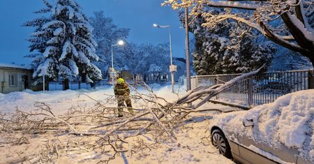 Śnieżny armagedon na Podkarpaciu. Prawie 55 tys. ludzi bez prądu