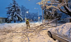 Śnieżny armagedon na Podkarpaciu. Prawie 55 tys. ludzi bez prądu