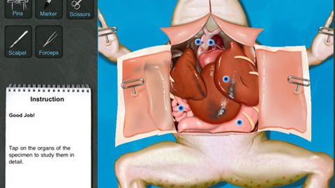 iPad uratuje tysiące żab na całym świecie? 1