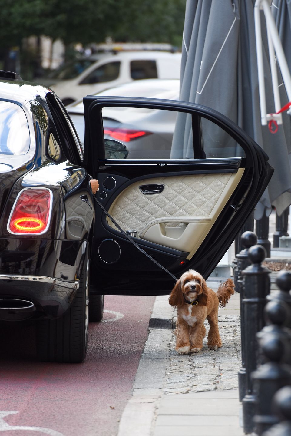 Szofer Joanny Przetakiewicz zaparkował na ścieżce dla rowerów