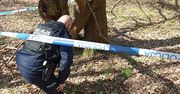 Granat moździerzowy z II wojny światowej znaleziony w lesie pod Miłakowem