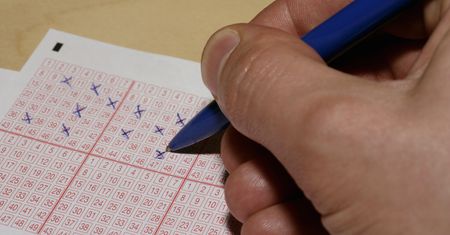 Krzyżówka z wiedzy ogólnej dla zorientowanych. Spróbujesz swoich sił?
