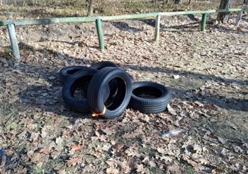 Zdjęcie z lasu. Ktoś zostawił pięć sztuk