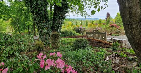 Dolnośląska perełka. Arboretum w Wojsławicach zachwyca turystów