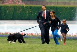 Córka Obamy robi karierę. Dostała pracę marzeń