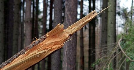 Porywisty wiatr na terenie woj. lubelskiego. IMGW wydało ostrzeżenie