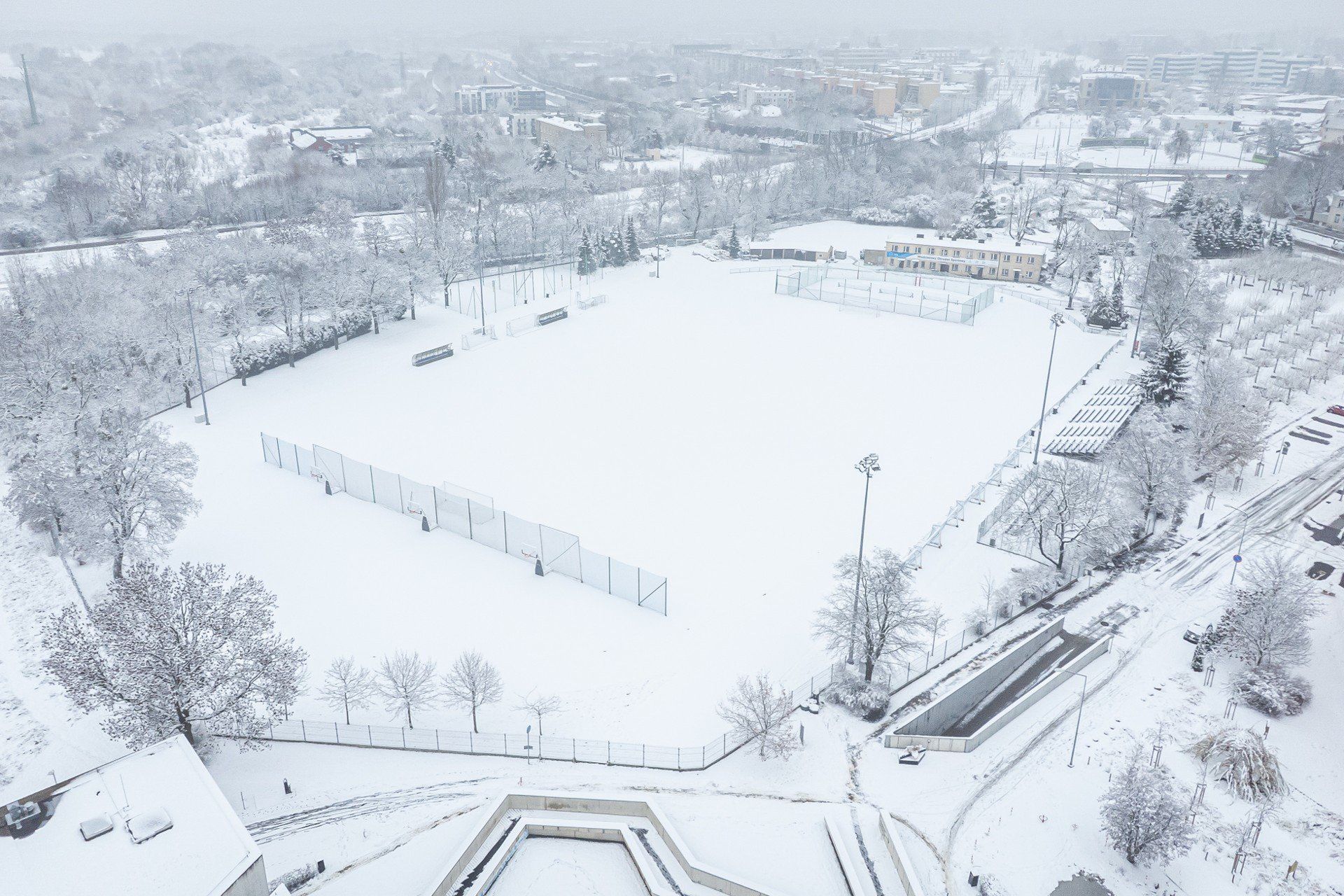 Zimowy poranek na Śródce